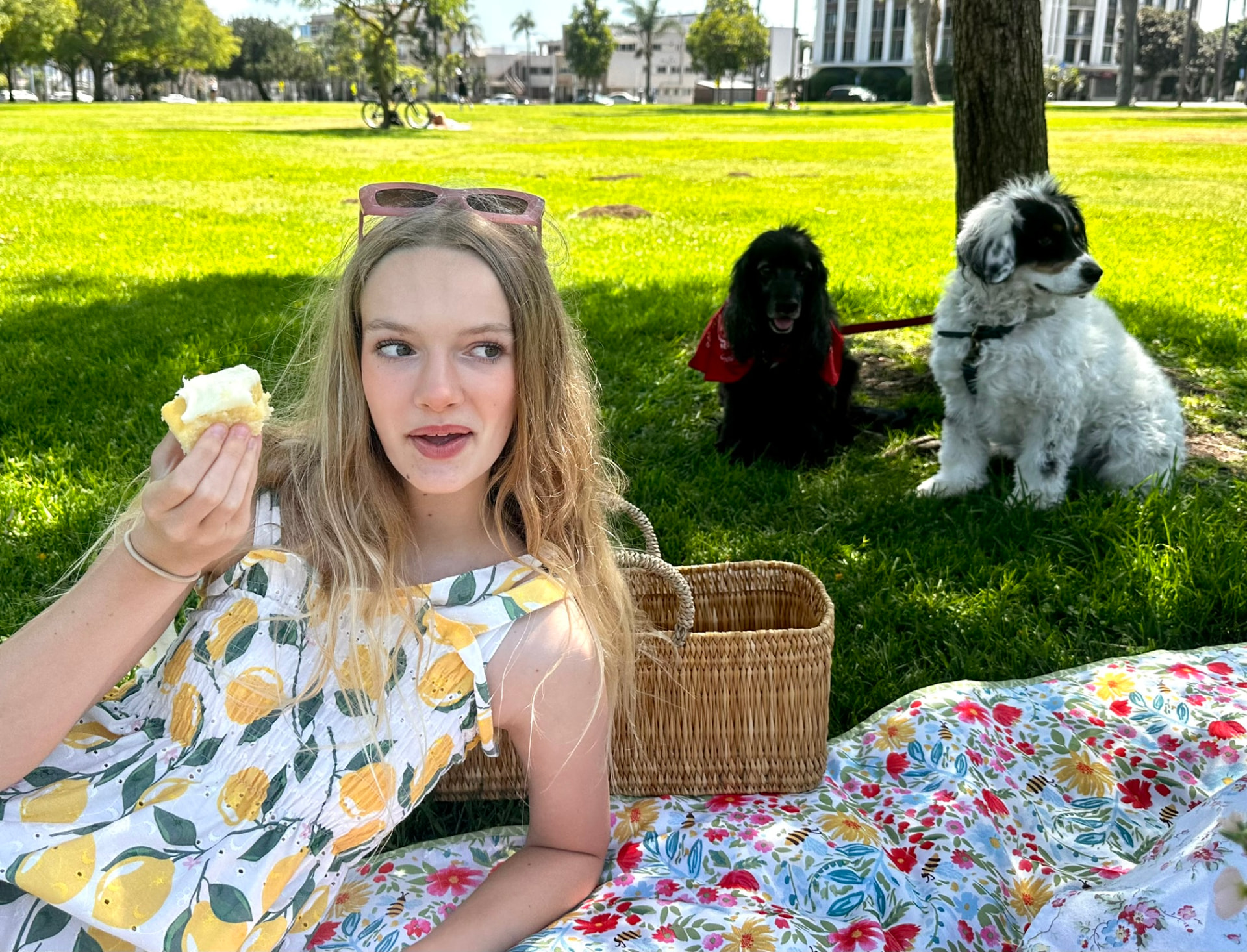 A girl enjoying lemon cake on the picnic blanket while two dogs sit behind her
