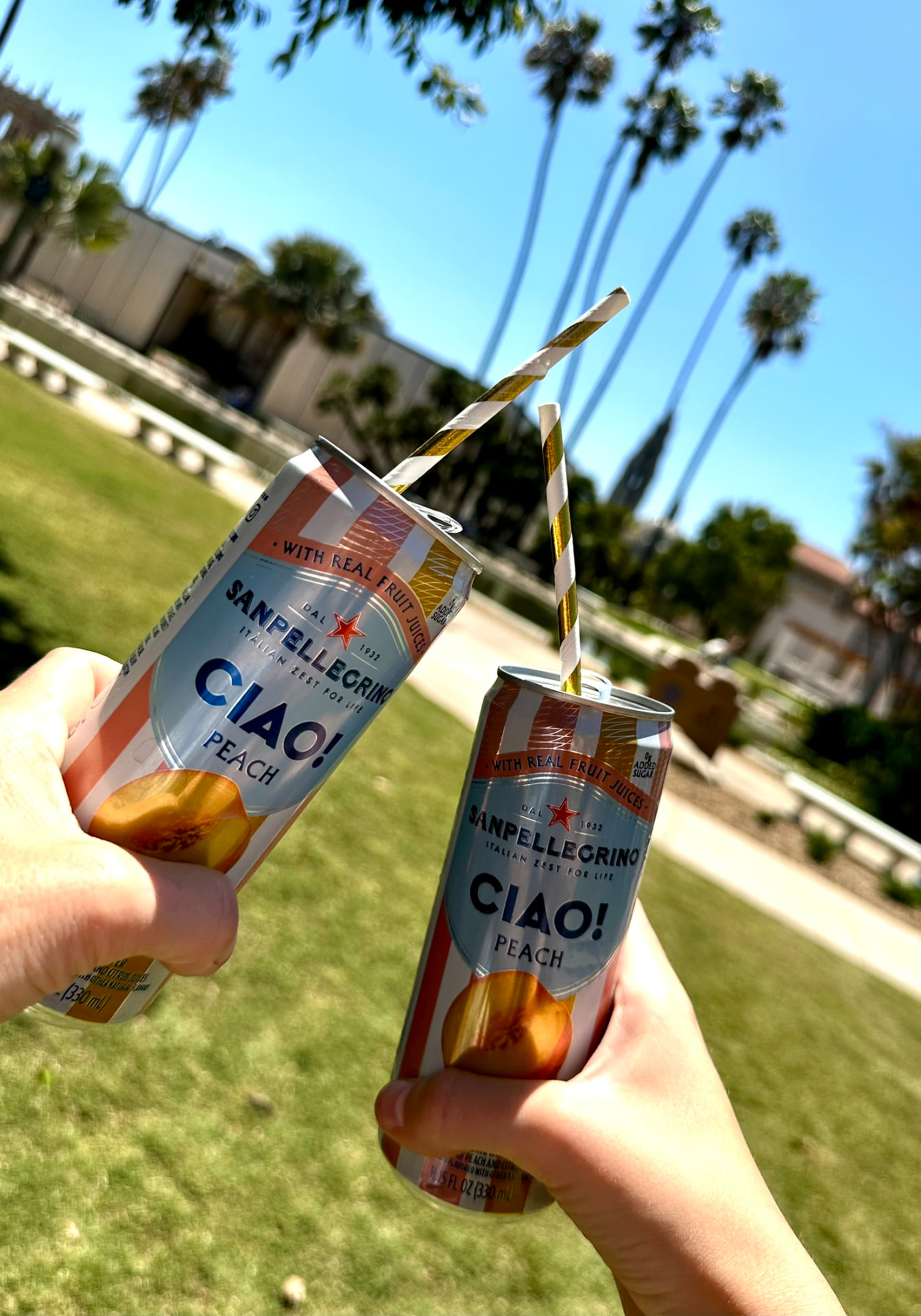 Two hands toasting cans of sparkling peach drink with striped paper straws under Balboa Park palms